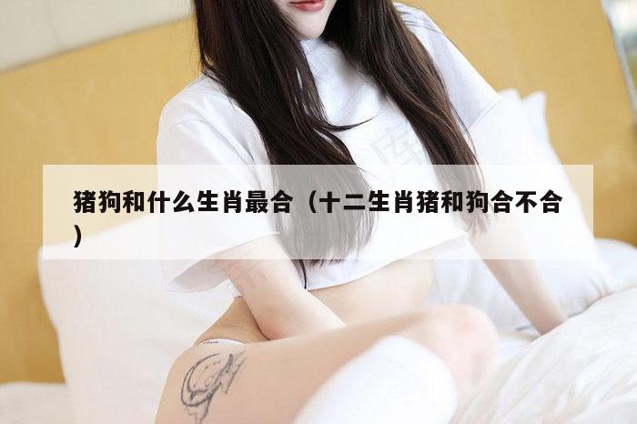 猪狗和什么生肖最合（十二生肖猪和狗合不合）